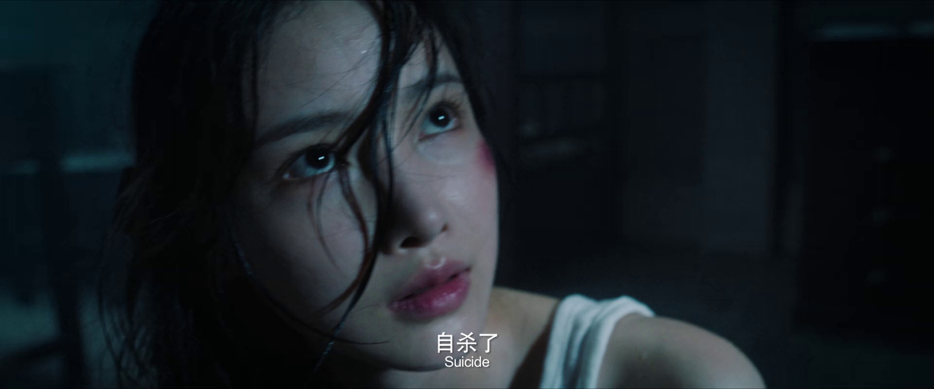 卧底神探[WEB]